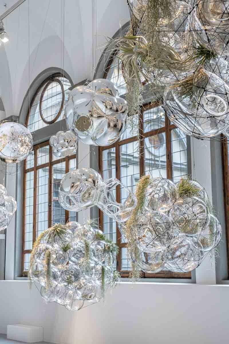 Tomas saraceno