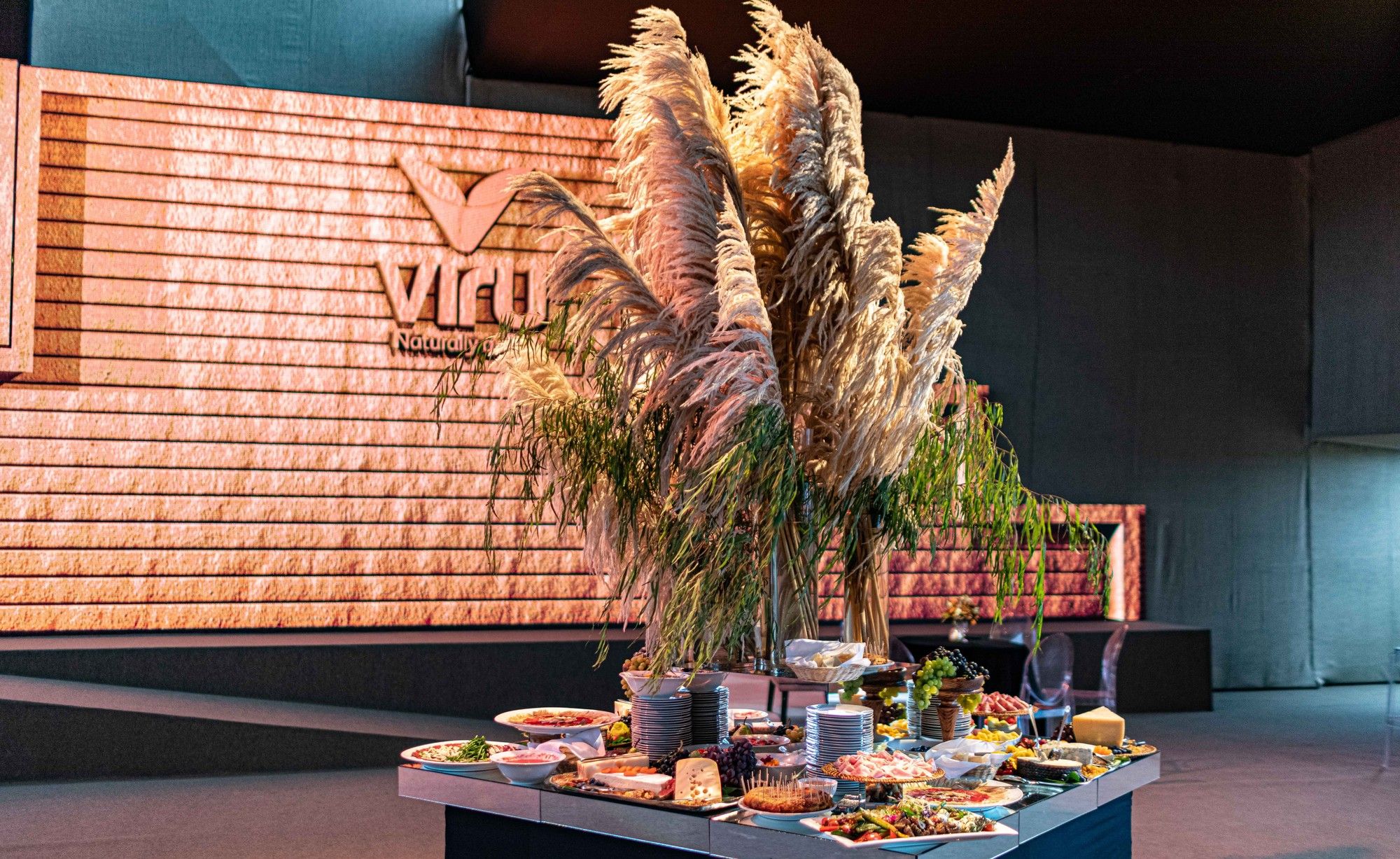 Viru cena chanchan 15