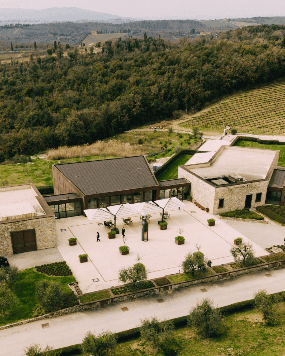 Genius vallepicciola